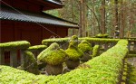 開山堂　苔むした墓石