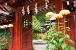 二荒山神社　祈祷受付所