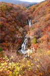 霧降の滝