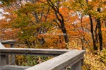 霧降山のレストランからの紅葉風景