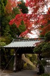 日光市　観音寺の山門