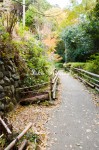 日向大神宮への小道