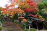 参道と三の鳥居