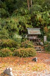 猿田彦神社