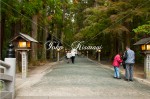 小國神社　参道