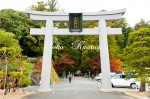 小國神社　一の鳥居