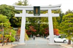 小國神社　一の鳥居