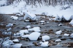 雪帽子の点在