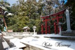 弥彦神社