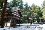 弥彦神社境内