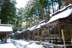 弥彦神社境内