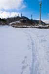 弥彦山頂公園