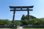 大斎原の大鳥居